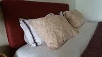*** Hotel Tranquility Estate Bed And Breakfast Kingston Jamaïque
