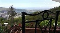 Tranquility Estate Bed And Breakfast Kingston