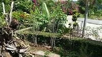 Tranquility Estate Bed And Breakfast Kingston Hotel